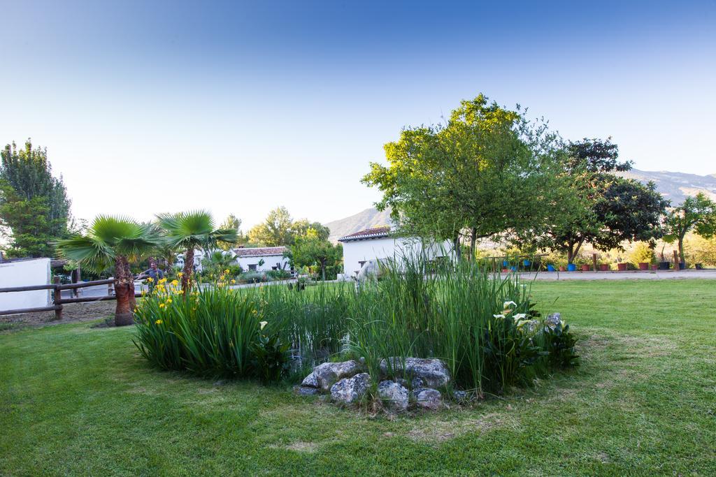 Al Agia - Los Molinos De Padul Екстер'єр фото